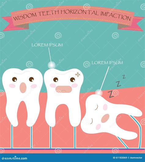 Wisdom Teeth On Pink Background Cartoon Vector