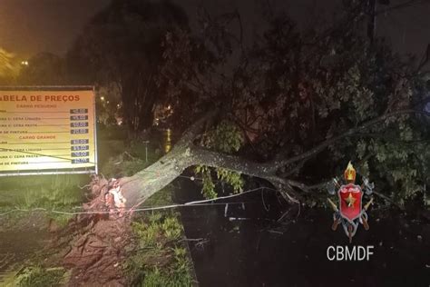 Df Chuva Causa Alagamentos E Queda De Rvores Na Antev Spera Do Natal