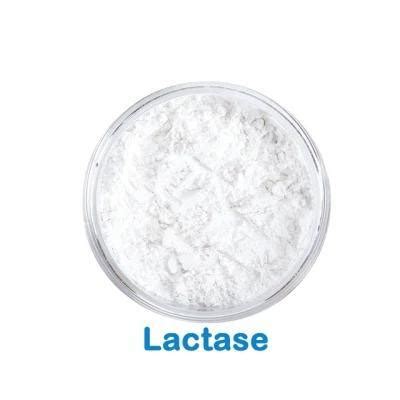 Food Grade Lactase Enzyme Price 9000u 10 000u G Lactase Enzyme Powder