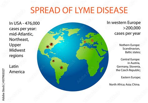 Spread Of Lyme Disease Vector Illustration Stock Vector Adobe Stock