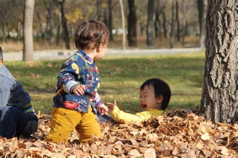 Free Images Branch Person People Play Flower Pine Vase Spring