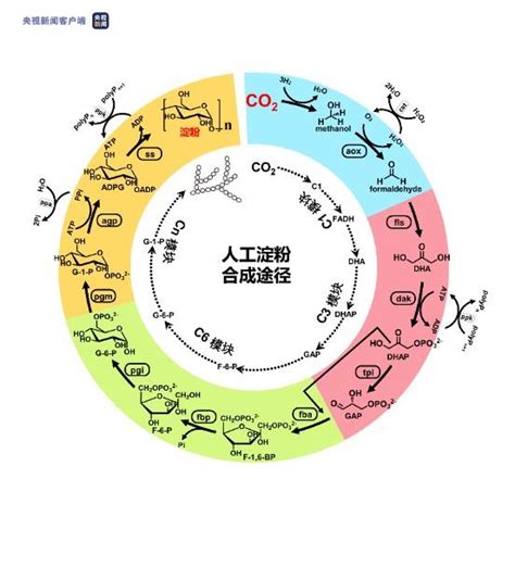 2021年度中国科学十大进展发布：天问一号着陆火星等在列科学湃澎湃新闻 The Paper