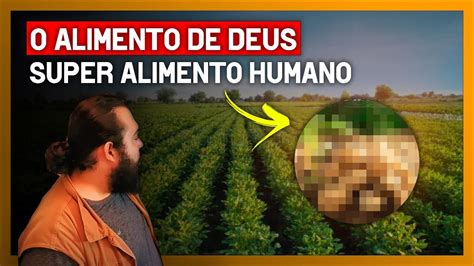 O Alimento De Deus Super Alimento Humano Historia Plantio E Manejo