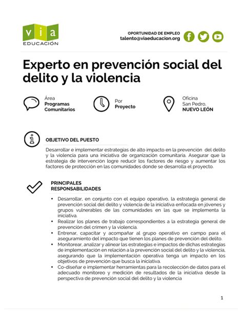 Experto En Prevención Social Del Delito Y La Violencia