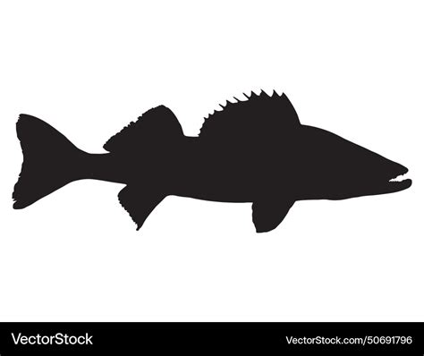 Walleye fish silhouette art Royalty Free Vector Image