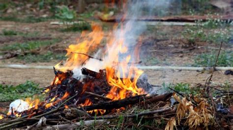 Aturan Baru Resmi Berlaku, Bakar Sampah Sembarangan Bakal Didenda Rp 50 ...