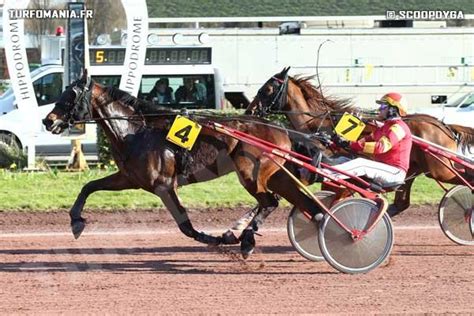 LORD DES GRANGES Cheval Retrouvez Toutes Les Performances De LORD