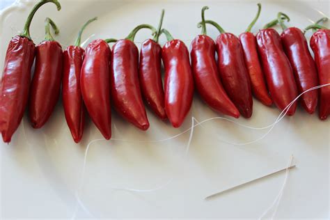 Drying Peppers Mirlandras Kitchen