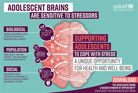 Unicef Infographic Design The Adolescent Brain Behance