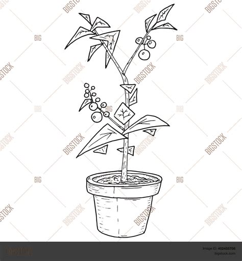 Tree Flower Pot Icon Vector & Photo (Free Trial) | Bigstock