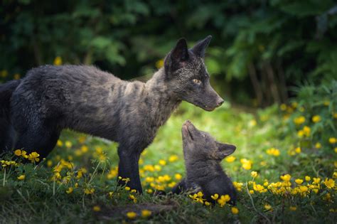 Alaska Magazine | Otherworldly Scenes from Umnak Island