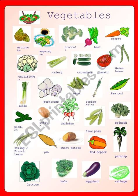 Vegetables Pictionary Fully Editable ESL Worksheet By Sharin Raj