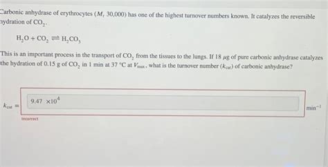 Solved Carbonic Anhydrase Of Erythrocytes Mr30 000 Has One Chegg