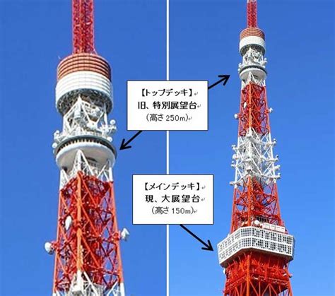 階段で東京タワーの「250m部分」まで上ったらどのくらい大変なのか？ Ecナビ