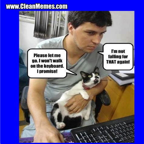 Cat Memes – Page 19 – Clean Memes