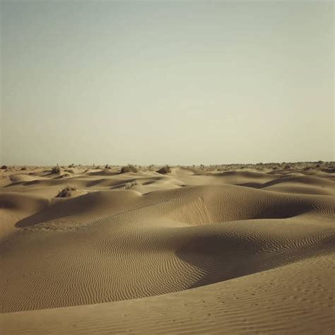 Sand Dunes Of Jaisalmer: A Complete Travel Guide - Feet Beyond Roads