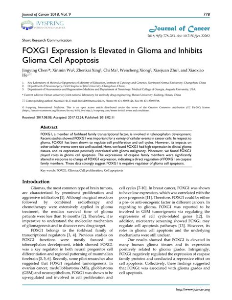 PDF FOXG1 Expression Is Elevated In Glioma And Inhibits Glioma Cell