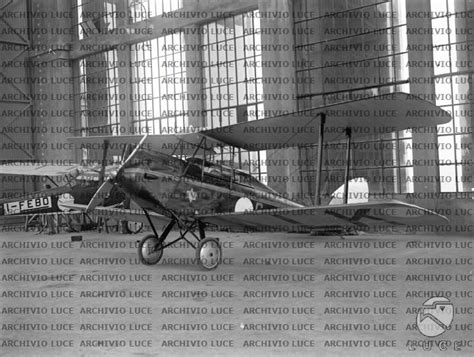 Aeroplani Parcheggiati Nell Hangar Dell Aeroporto Del Littorio Durante