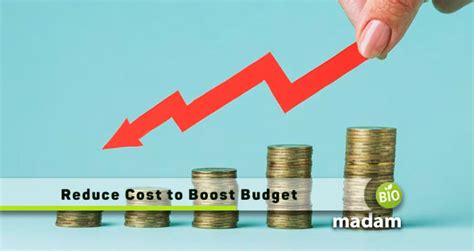 Budget Boosting Tips To Help Cover The Costs Of Living Biomadam