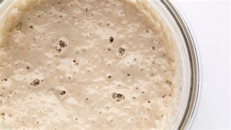 Poolish vs Sourdough Starter - Important To Know