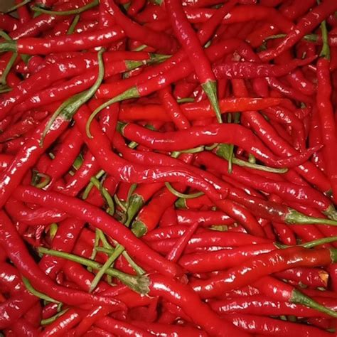 Jual CABE KRITING MERAH 1KG Kota Tangerang Sembakokuaja Tokopedia