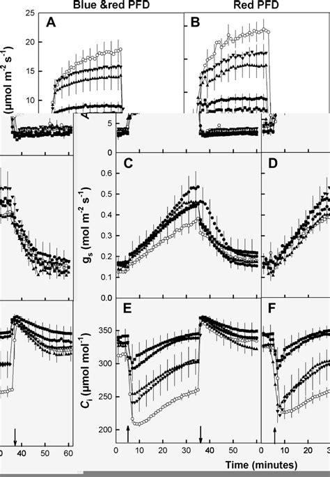 Changes In A B CO2 Assimilation Rate C D Leaf Conductance And