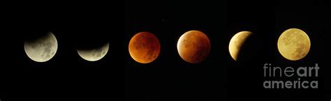 Blood Moon Phases Photograph by Rudi Prott - Fine Art America