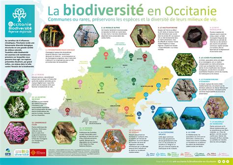 Poster La Biodiversité En Occitanie Arb Occitanie