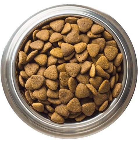 Dog Food Png Images Transparent Background Png Play