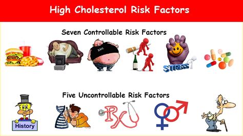 12 High Cholesterol Risk Factors Youtube