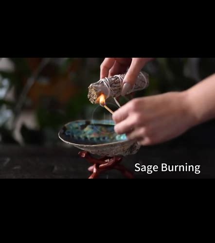 Sage Package For Cleaning Spaces Naked Truth Tarot