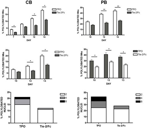 Cb Left Panels Or Pb Right Panels Cd34 Cells Have Been Grown In Download Scientific