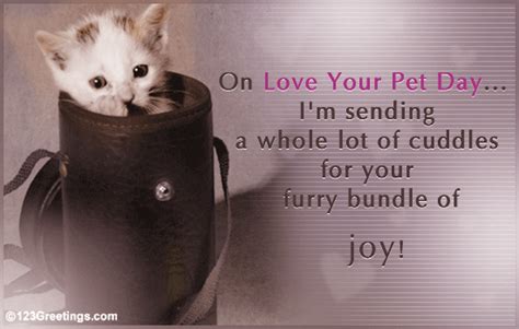 Whole Lot Of Cuddles Free Love Your Pet Day Ecards Greeting Cards