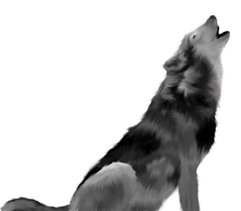 Wolf Png Howling Clipart Best