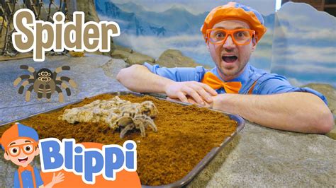 Blippi Visits The Zoo - Learning Animals For Kids!