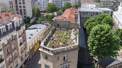 Veni Verdi Installe Des Potagers Sur Les Toits De Paris S R Nit