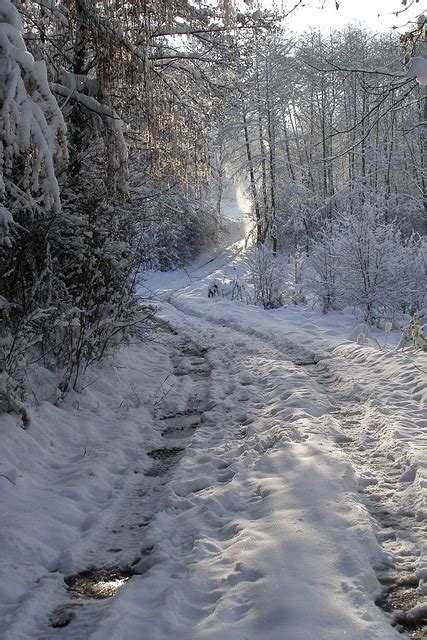 Winter Weg Schnee Kostenloses Foto Auf Pixabay