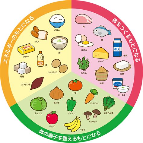 五大栄養素についての自主学習ノート例 家庭学習レシピ 給食 イラスト 食品群 果物 イラスト かわいい