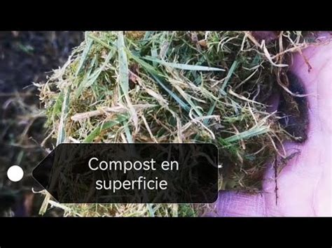 El Lombricero Compost En Superficie Mulch Acolchado El Compost M S