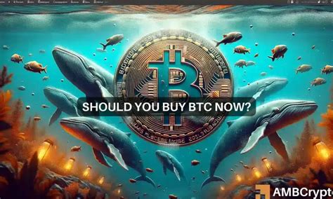 El frenesí de compras de las ballenas Bitcoin lo que significa para