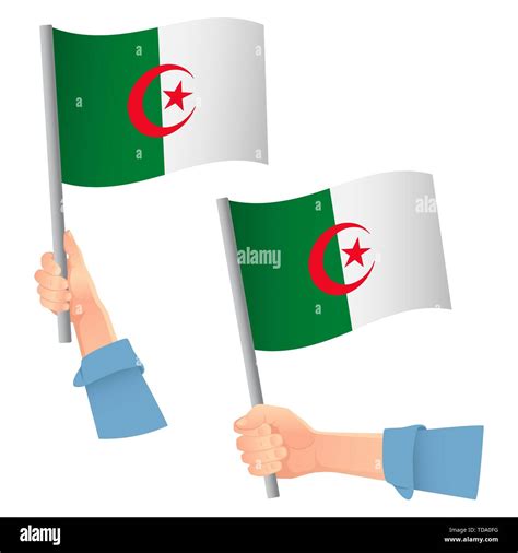 Algeria Flag In Hand Patriotic Background National Flag Of Algeria