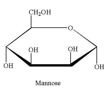 D Mannose Cyclic