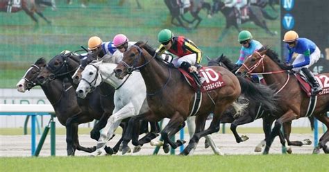 【2024 読売マイラーズc（g2）】日刊馬番コンピ指数分析予想篇｜haya