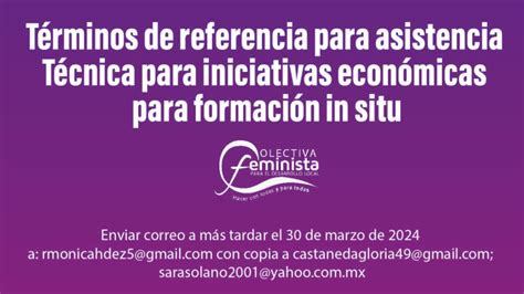 T Rminos De Referencia Para Asistencia T Cnica Para Iniciativas