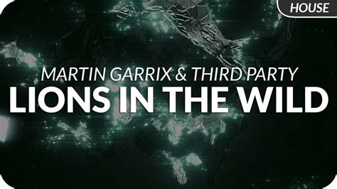 Martin Garrix And Third Party Lions In The Wild Youtube