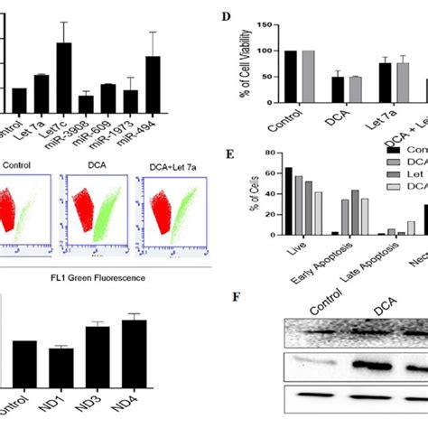 Effect Of Dichloroacetate DCA On Cell Viability Was Evaluated By MTT