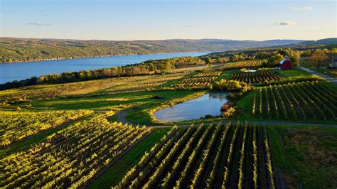 4 Best Finger Lakes Wineries You Need to Visit Near Corning