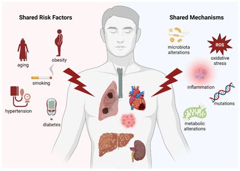 Publication Multifactorial Diseases Of The Heart Kidneys Lungs And