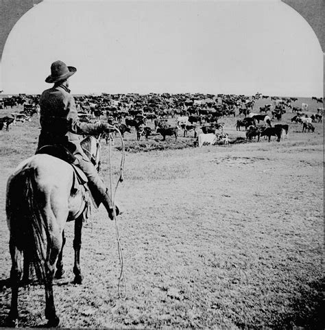 The History Of The Preston Trail Preston Trail Farms