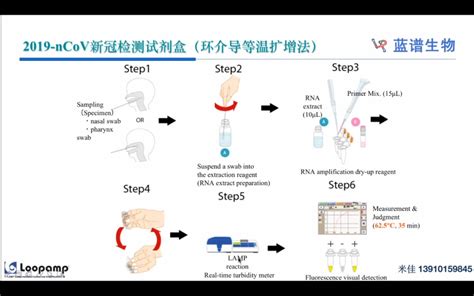 环介导等温扩增lamp技术原理与引物设计 哔哩哔哩